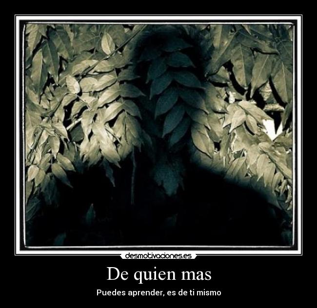 De quien mas -