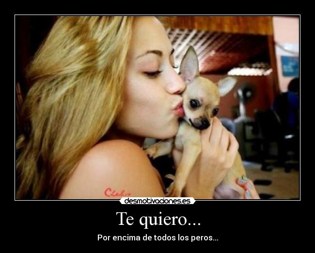 Te quiero... - Por encima de todos los peros...