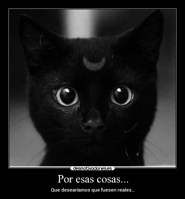 Por esas cosas... - 