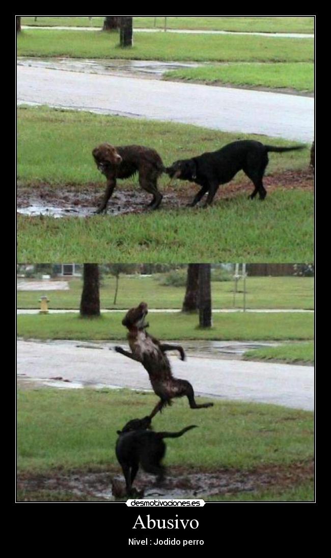 Abusivo - Nivel : Jodido perro