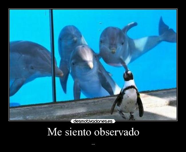 Me siento observado - ...