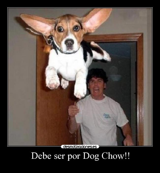 carteles dog chow desmotivaciones
