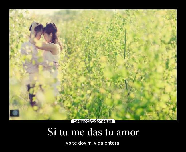 Si tu me das tu amor - yo te doy mi vida entera.