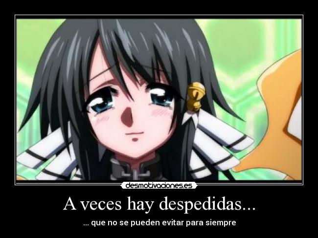 A veces hay despedidas... -