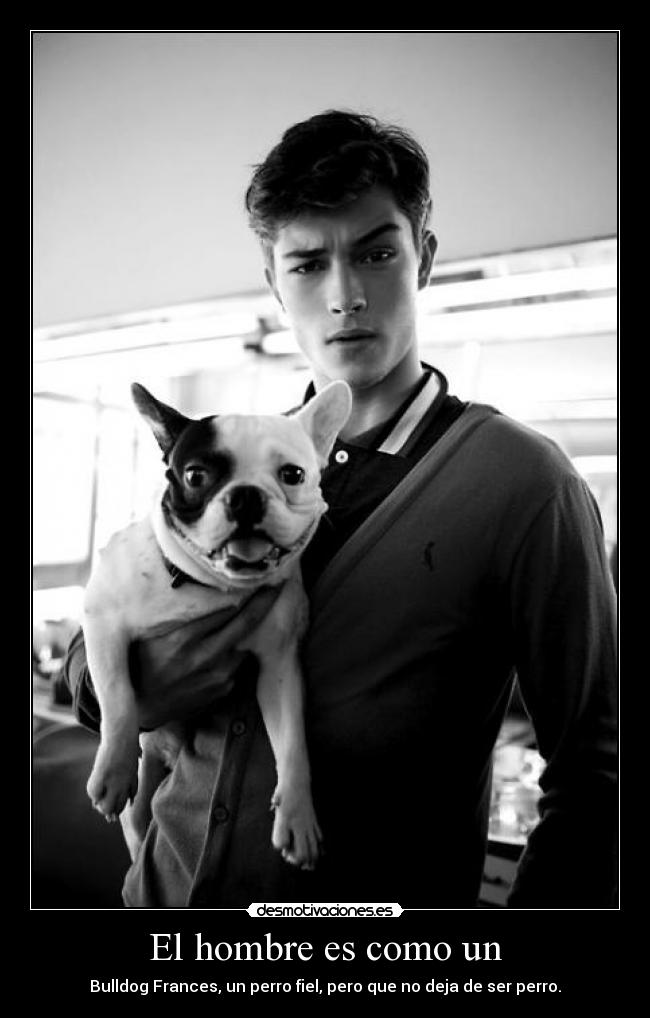 El hombre es como un -