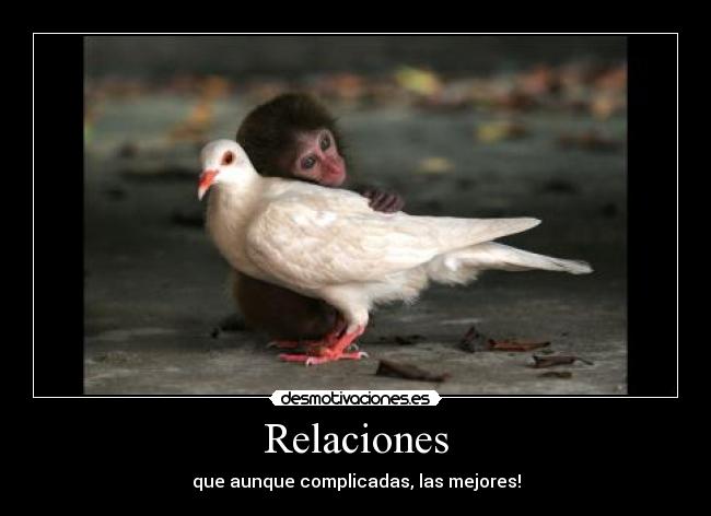 carteles relaciones desmotivaciones