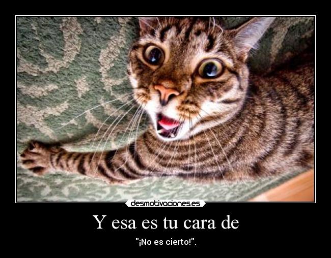 carteles cierto desmotivaciones