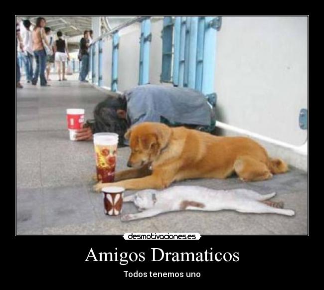 Amigos Dramaticos -