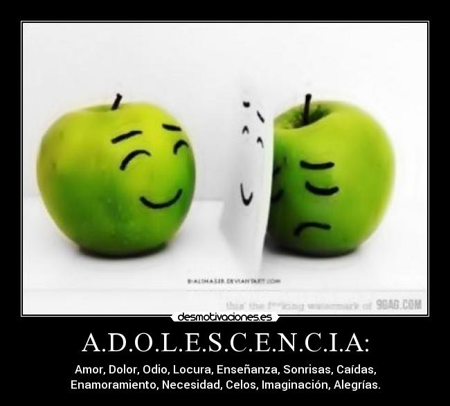 A.D.O.L.E.S.C.E.N.C.I.A: - Amor, Dolor, Odio, Locura, Enseñanza, Sonrisas, Caídas,
Enamoramiento, Necesidad, Celos, Imaginación, Alegrías.