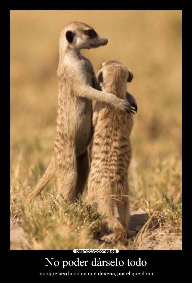 carteles amor amistad amigos diran sociedad discriminacion homosexual gay desmotivaciones