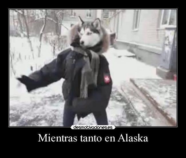 Mientras tanto en Alaska -