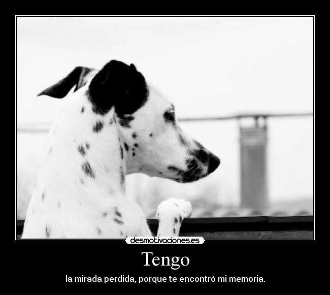 Tengo - la mirada perdida, porque te encontró mi memoria.