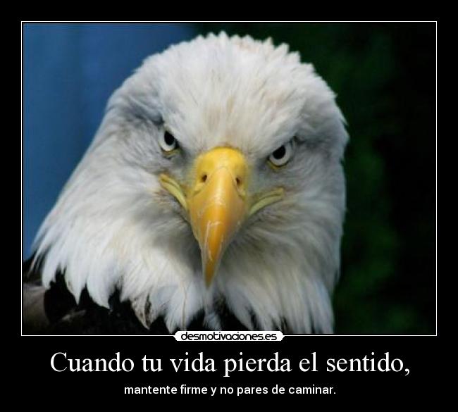 Cuando tu vida pierda el sentido, - mantente firme y no pares de caminar.