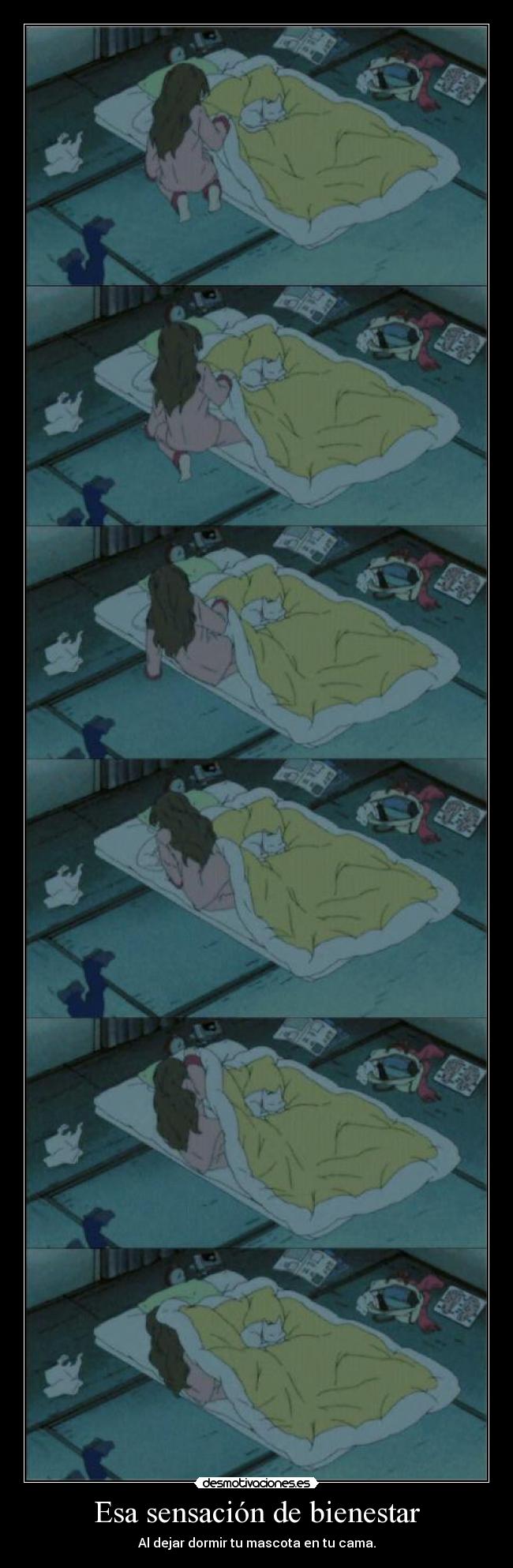 Esa sensación de bienestar - 