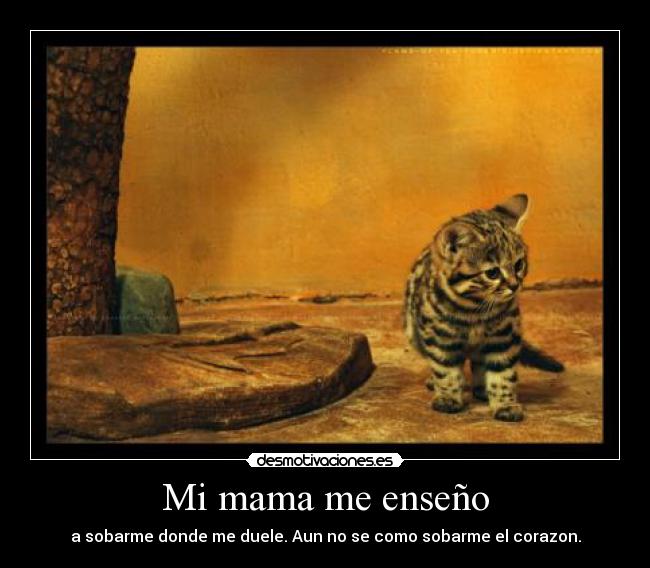 Mi mama me enseño - a sobarme donde me duele. Aun no se como sobarme el corazon.