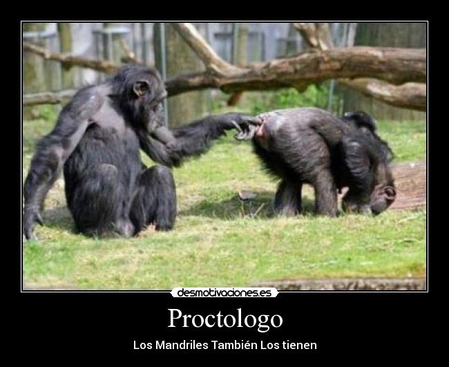 Proctologo -