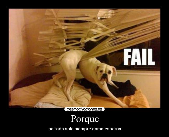 Porque - no todo sale siempre como esperas
