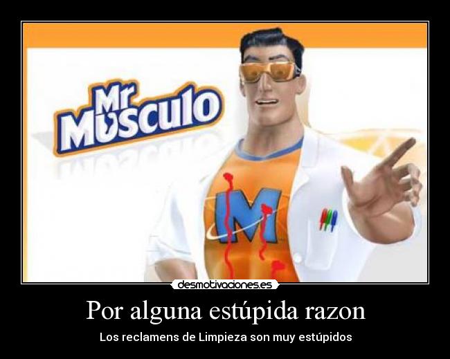 Por alguna estúpida razon - 