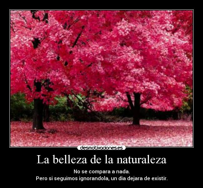 La belleza de la naturaleza -