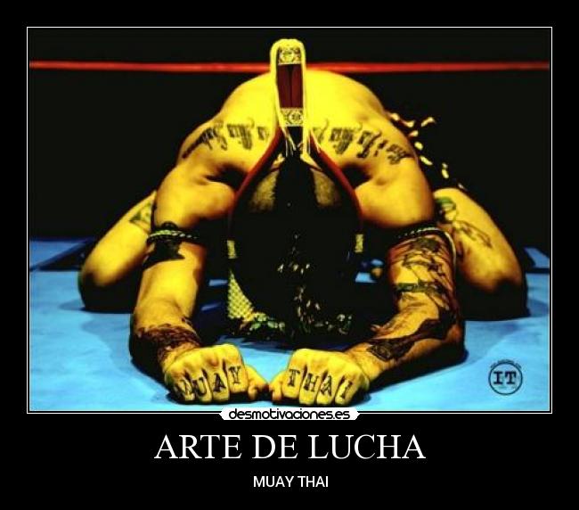 ARTE DE LUCHA - MUAY THAI