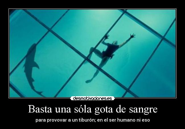 Basta una sóla gota de sangre -