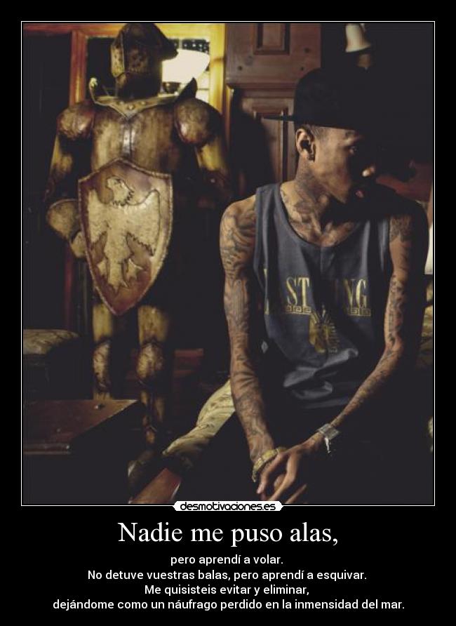 Nadie me puso alas, - pero aprendí a volar.
No detuve vuestras balas, pero aprendí a esquivar.
Me quisisteis evitar y eliminar,
dejándome como un náufrago perdido en la inmensidad del mar.