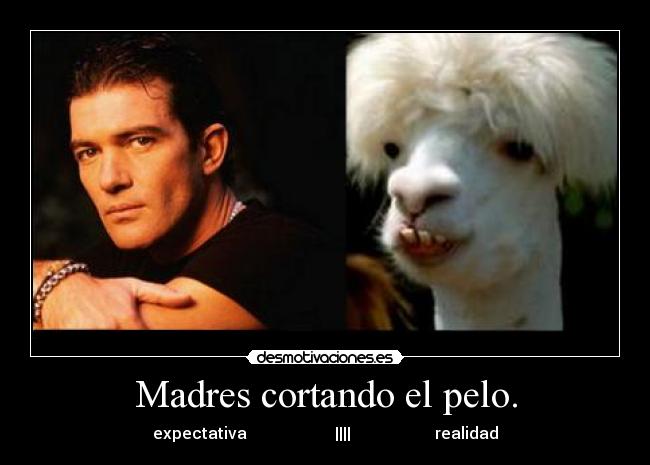 Madres cortando el pelo. -