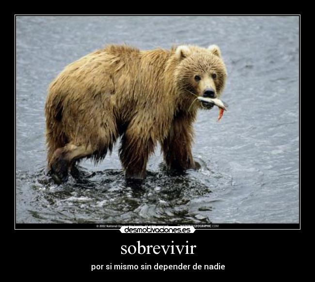 sobrevivir - por si mismo sin depender de nadie