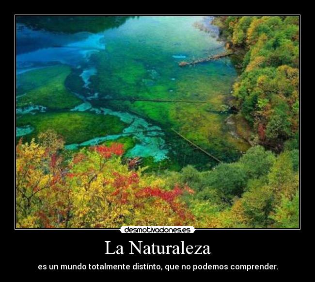 La Naturaleza - es un mundo totalmente distínto, que no podemos comprender.