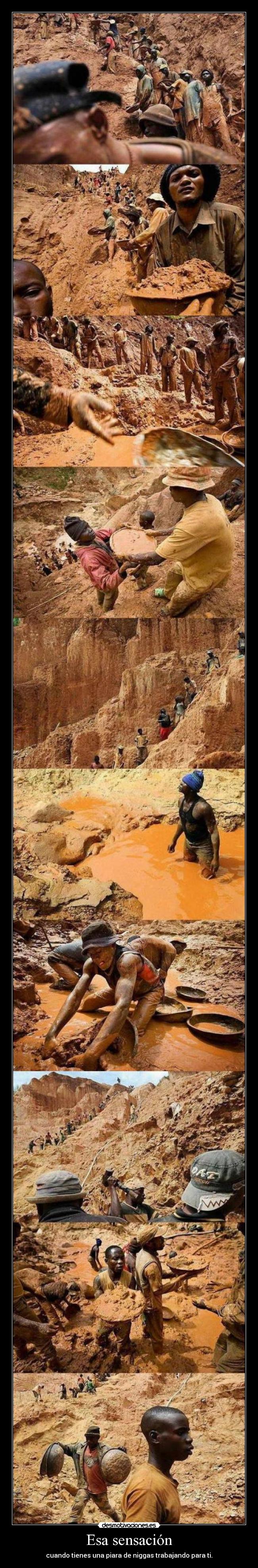 Esa sensación - cuando tienes una piara de niggas trabajando para ti.