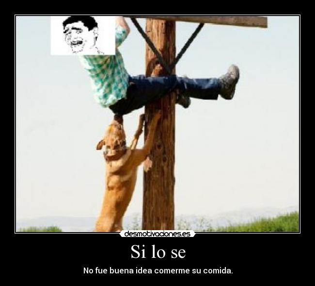 Si lo se - No fue buena idea comerme su comida.