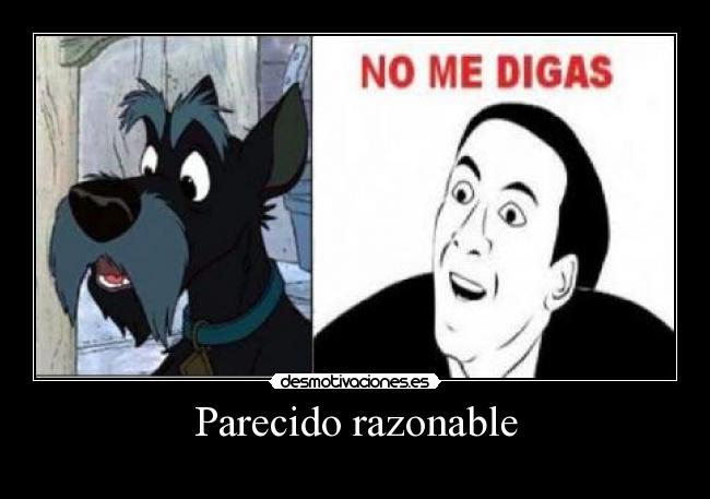 Parecido razonable -