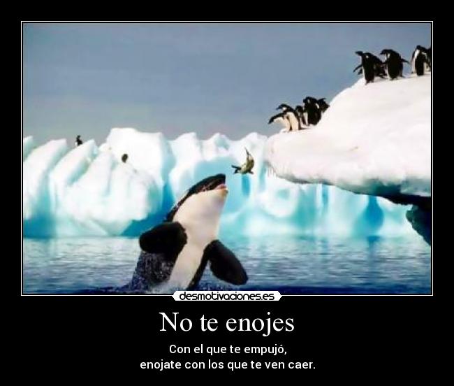 No te enojes -