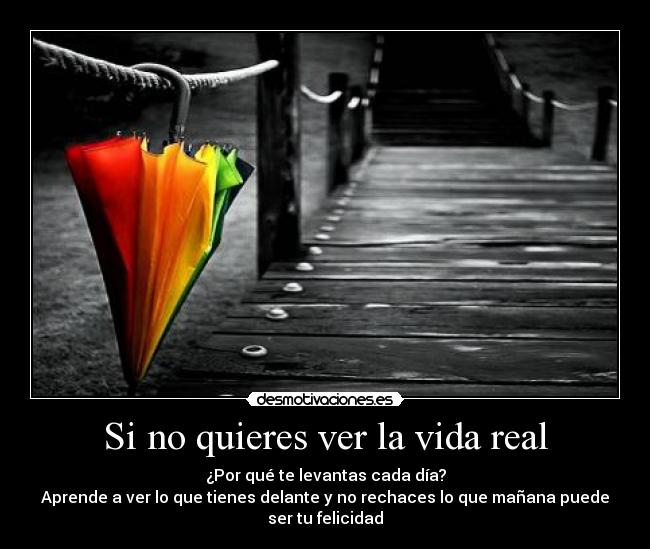 Si no quieres ver la vida real - ¿Por qué te levantas cada día?
Aprende a ver lo que tienes delante y no rechaces lo que mañana puede ser tu felicidad