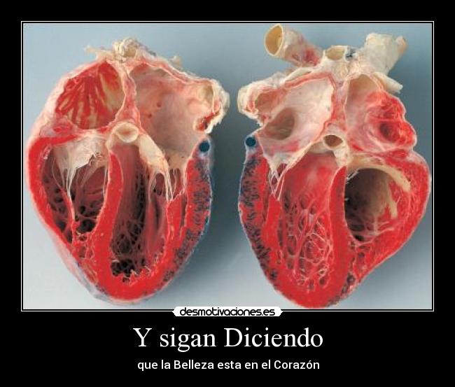 Y sigan Diciendo - que la Belleza esta en el Corazón