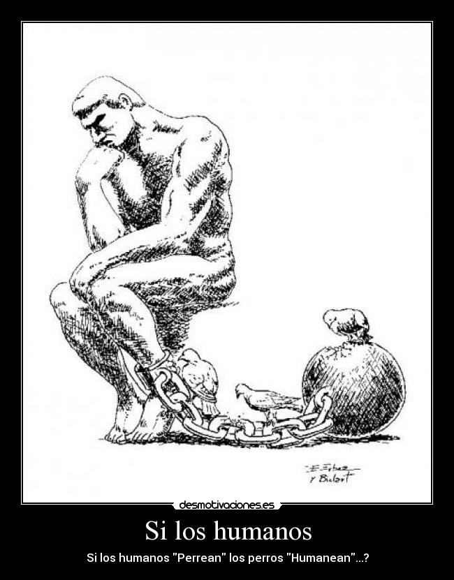 Si los humanos - Si los humanos Perrean los perros Humanean...?