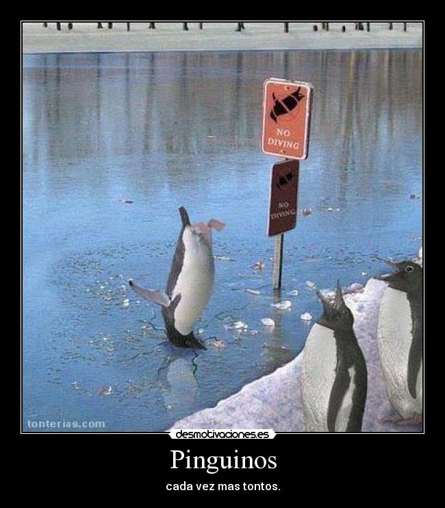 carteles josete77 desmotivaciones