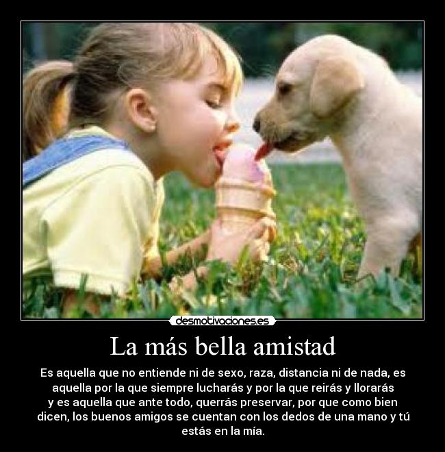 La más bella amistad - Es aquella que no entiende ni de sexo, raza, distancia ni de nada, es
aquella por la que siempre lucharás y por la que reirás y llorarás
y es aquella que ante todo, querrás preservar, por que como bien
dicen, los buenos amigos se cuentan con los dedos de una mano y tú
estás en la mía.