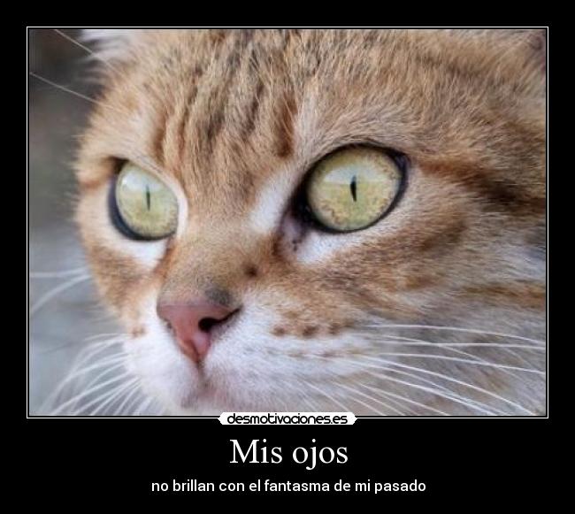 Mis ojos - no brillan con el fantasma de mi pasado