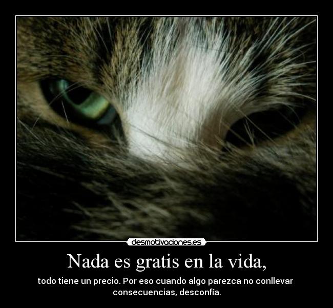 Nada es gratis en la vida, - 