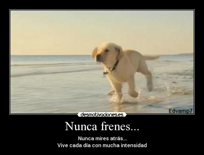 Nunca frenes... - Nunca mires atrás...
Vive cada día con mucha intensidad