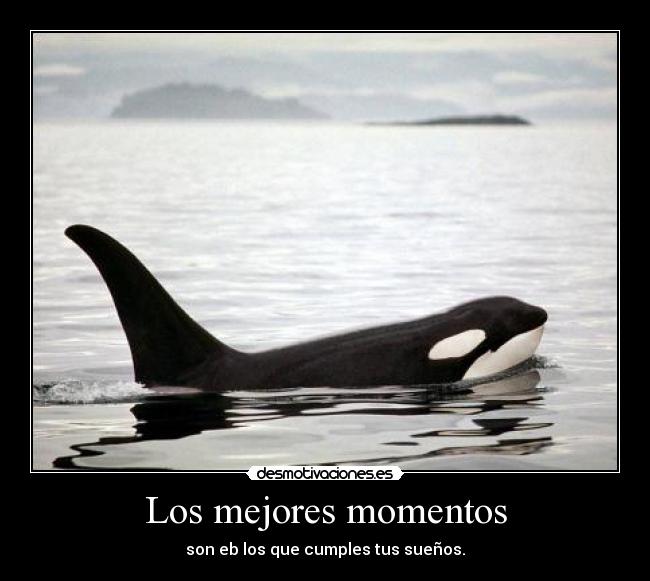 Los mejores momentos - son eb los que cumples tus sueños.