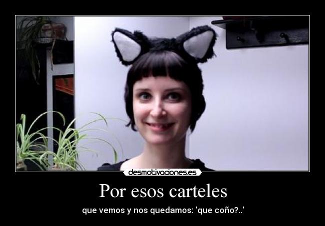 carteles catstuffs desmotivaciones