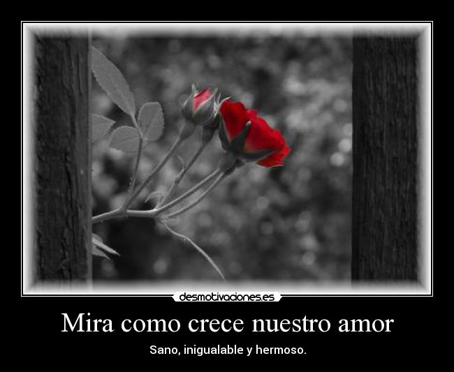 carteles amor mira como crece nuestro amor desmotivaciones