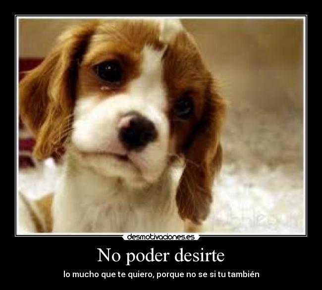 No poder desirte - lo mucho que te quiero, porque no se si tu también