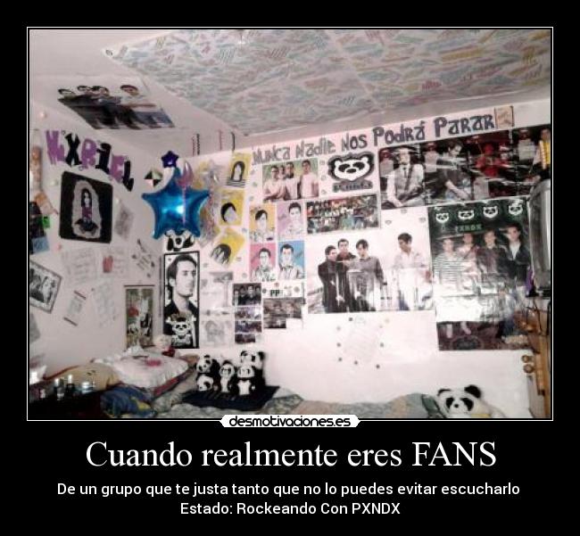 Cuando realmente eres FANS -