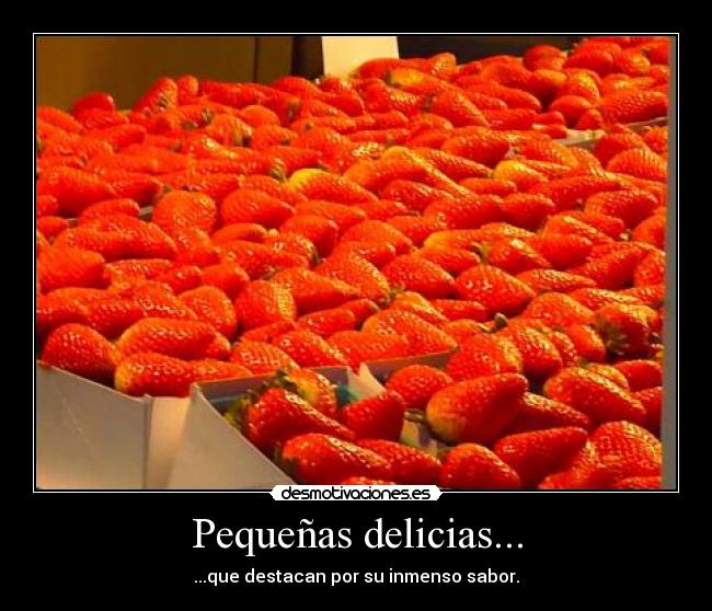 Pequeñas delicias... - 