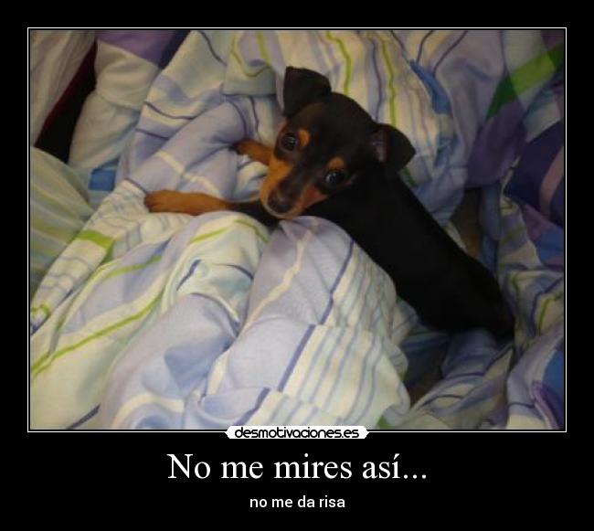 No me mires así... - no me da risa