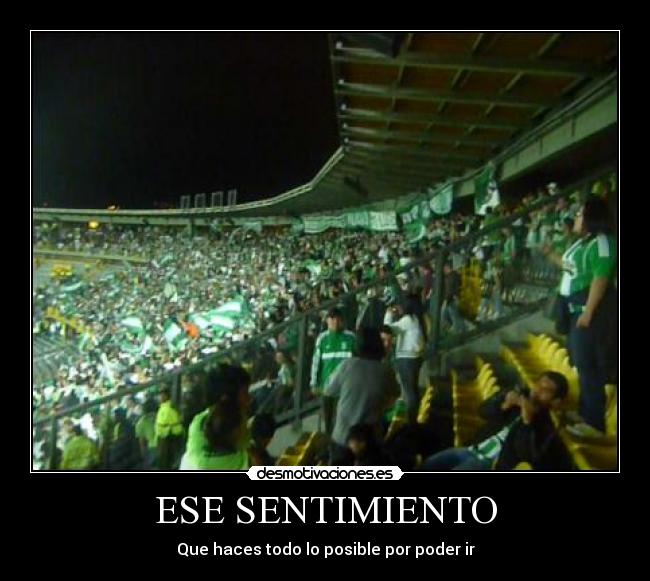 carteles ese sentimiento desmotivaciones