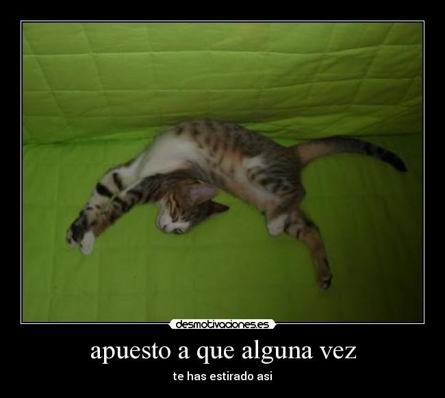 apuesto a que alguna vez -